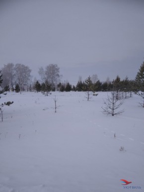 Баженово ул Южная д 7 в Кашире - kashira.yutvil.ru - фото 2