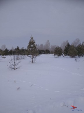Баженово ул Южная д 7 в Кашире - kashira.yutvil.ru - фото 5 Баженово ул Южная д 7 в Кашире - kashira.yutvil.ru - фото 5