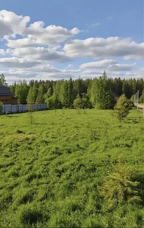 ДП Родной в Кашире - kashira.yutvil.ru - фото 3 ДП Родной в Кашире - kashira.yutvil.ru - фото 3