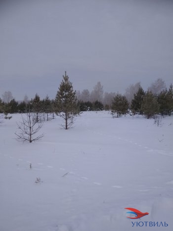 Земельный участок поселок Баженово в Кашире - kashira.yutvil.ru - фото 5 Земельный участок поселок Баженово в Кашире - kashira.yutvil.ru - фото 5