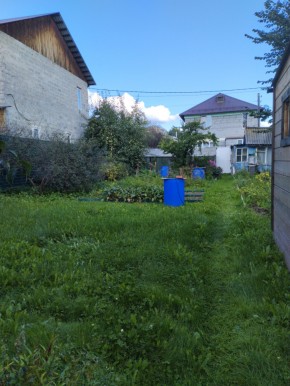 Коллективный сад номер 7, участок 58 в Кашире - kashira.yutvil.ru - фото 26 Коллективный сад номер 7, участок 58 в Кашире - kashira.yutvil.ru - фото 26