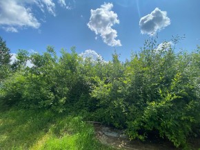 СПК Юбилейный, уч. 9 в Кашире - kashira.yutvil.ru - фото 15