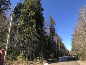 ул. Калиновая,9 в Кашире - kashira.yutvil.ru - фото 3